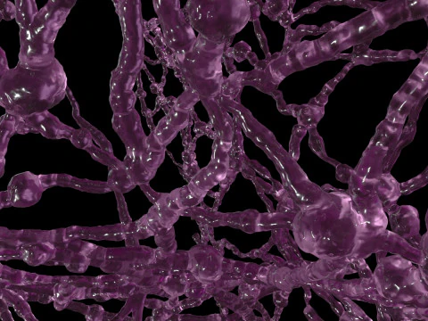 Organic Tissue 3D Model