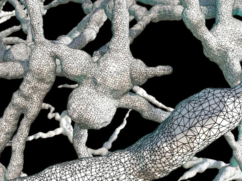 Organic Tissue 3D Model