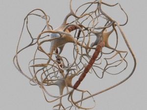 closed neural network 3d model 3D Model