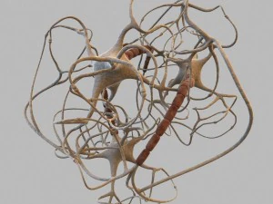 closed neural network 3d model 3D Model