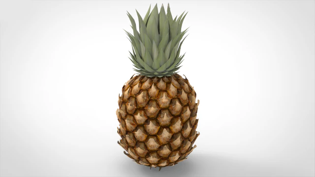 pineapple 3D Model .c4d .max .obj .3ds .fbx .stl .blend