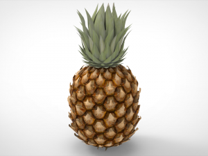 pineapple 3D Model