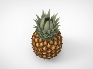 pineapple 3D Model