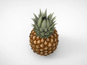 pineapple 3D Model