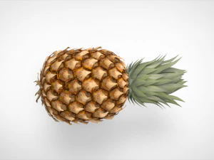 pineapple 3D Model