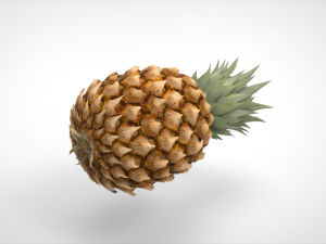 pineapple 3D Model