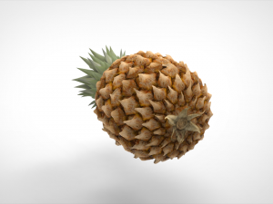 pineapple 3D Model