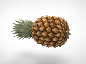 pineapple 3D Model