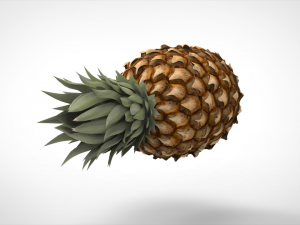 pineapple 3D Model