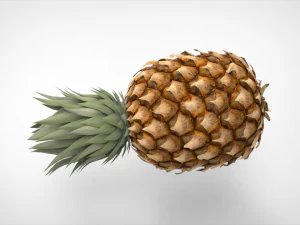 pineapple 3D Model