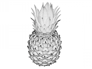 pineapple 3D Model