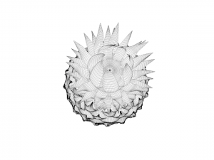 pineapple 3D Model