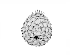 pineapple 3D Model