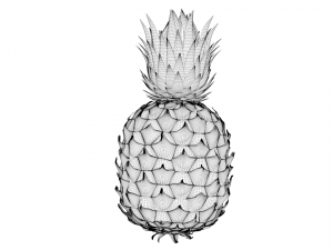pineapple 3D Model