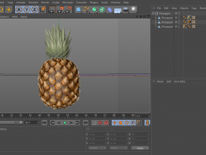 pineapple 3D Model