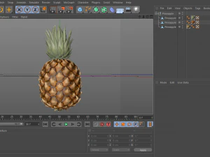 pineapple 3D Model