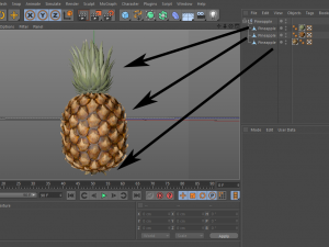pineapple 3D Model