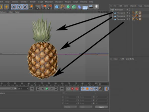 pineapple 3D Model