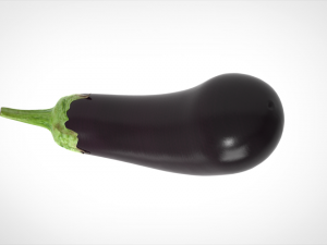 aubergine 3D मॉडल