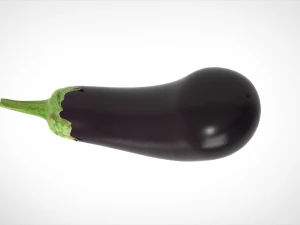 aubergine 3D Model