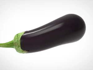 aubergine 3D Model