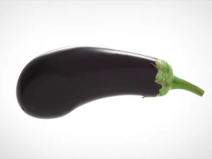 aubergine 3D Model