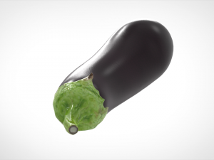 aubergine 3D मॉडल