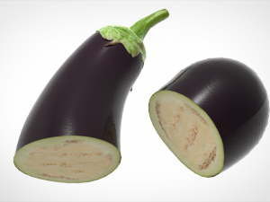 aubergine 3D मॉडल