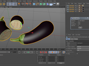 aubergine 3D मॉडल