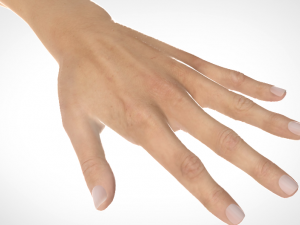 hand realistic Model 3D