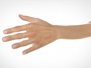 hand realistic Model 3D