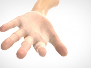 hand realistic Model 3D