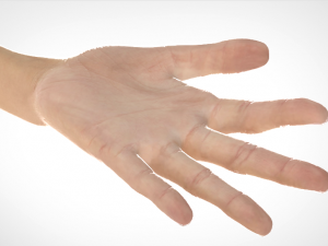 hand realistic Model 3D