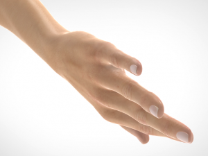hand realistic Model 3D