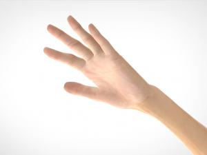 hand realistic Model 3D
