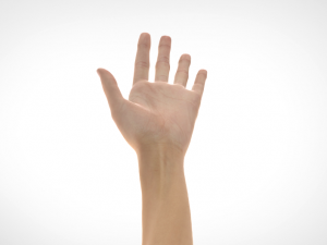 hand realistic Model 3D