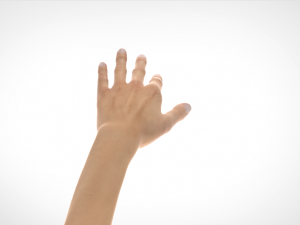 hand realistic Model 3D