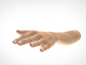 hand realistic Model 3D