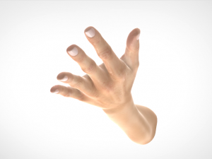 hand realistic Model 3D