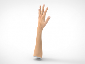 hand realistic Model 3D