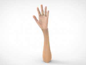 hand realistic Model 3D