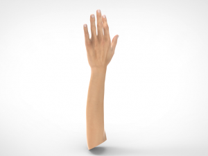 hand realistic Model 3D