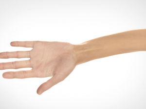 hand realistic Model 3D