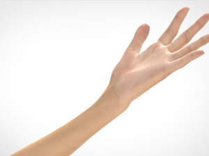 hand realistic Model 3D