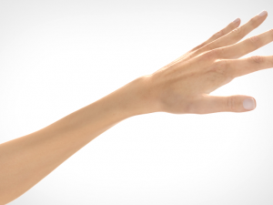 hand realistic Model 3D
