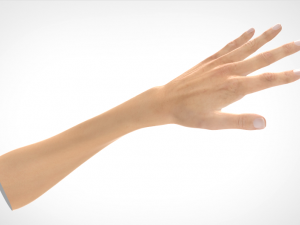 hand realistic Model 3D