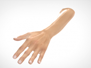 hand realistic Model 3D