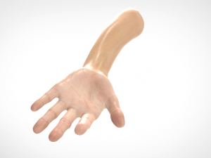 hand realistic Model 3D