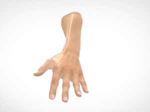hand realistic Model 3D