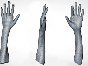 hand realistic Model 3D